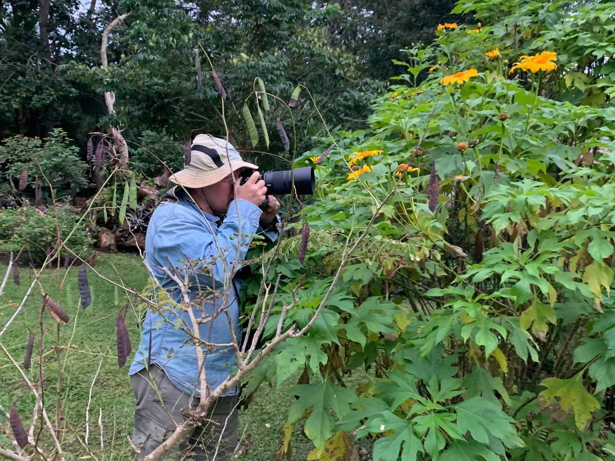 Birding at Villa Maya