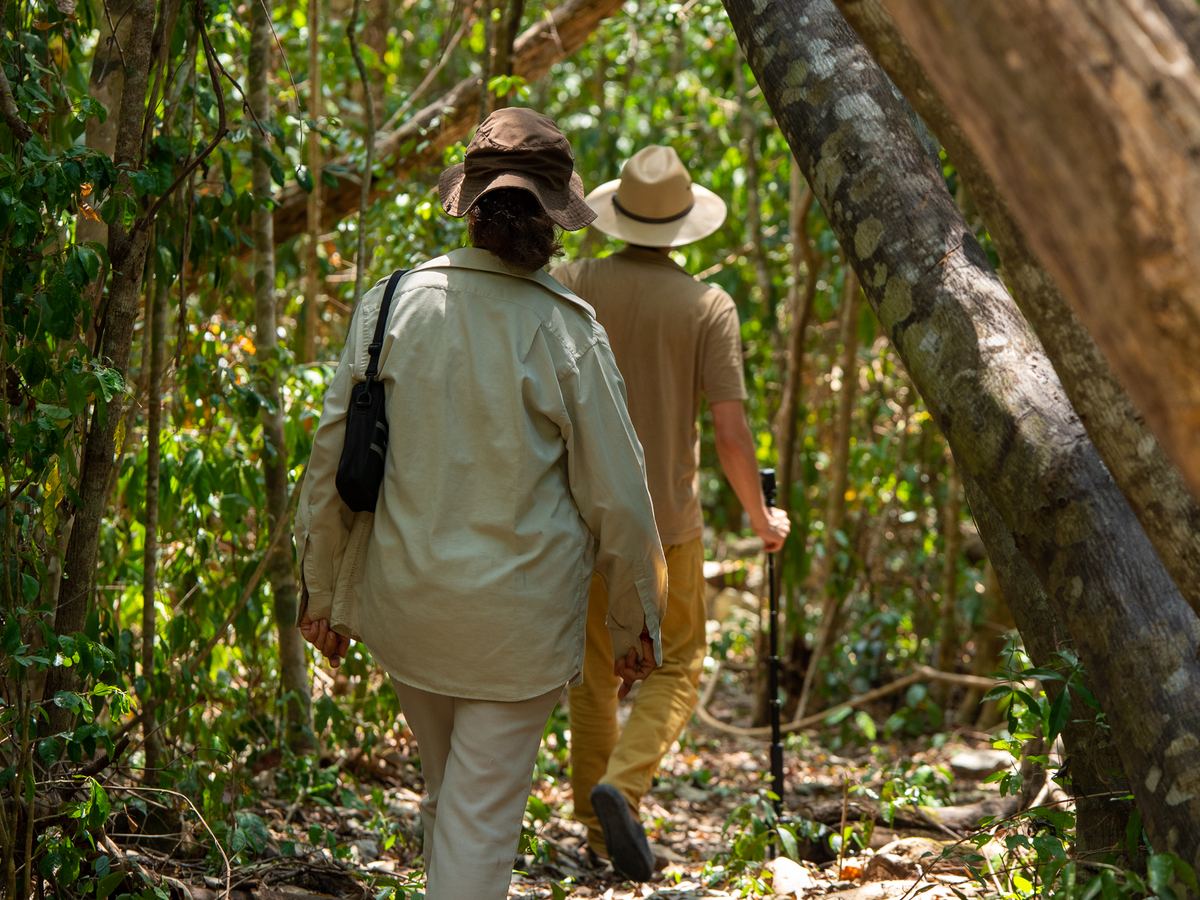 Guided jungle trail at Villa Maya
