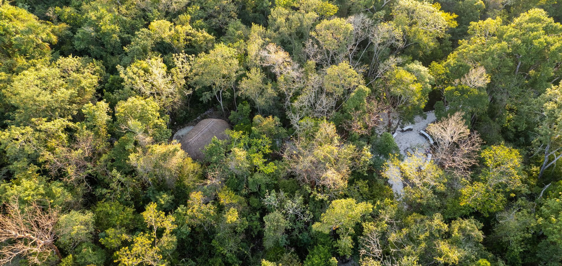 Aerial view of the tropical forest canopy at Villa Maya, Cozumel